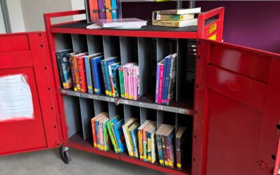 Le projet bibliothèque au Primaire